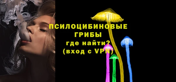эйфоретик Балахна