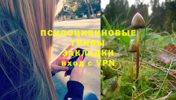 соль курить ск Балабаново